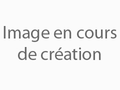 Le système d’alarme par téléphonie IP